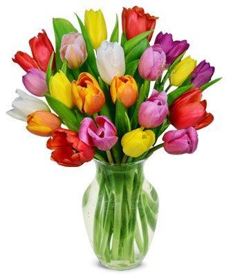 Rainbow Tulip Bouquet-20 Stems